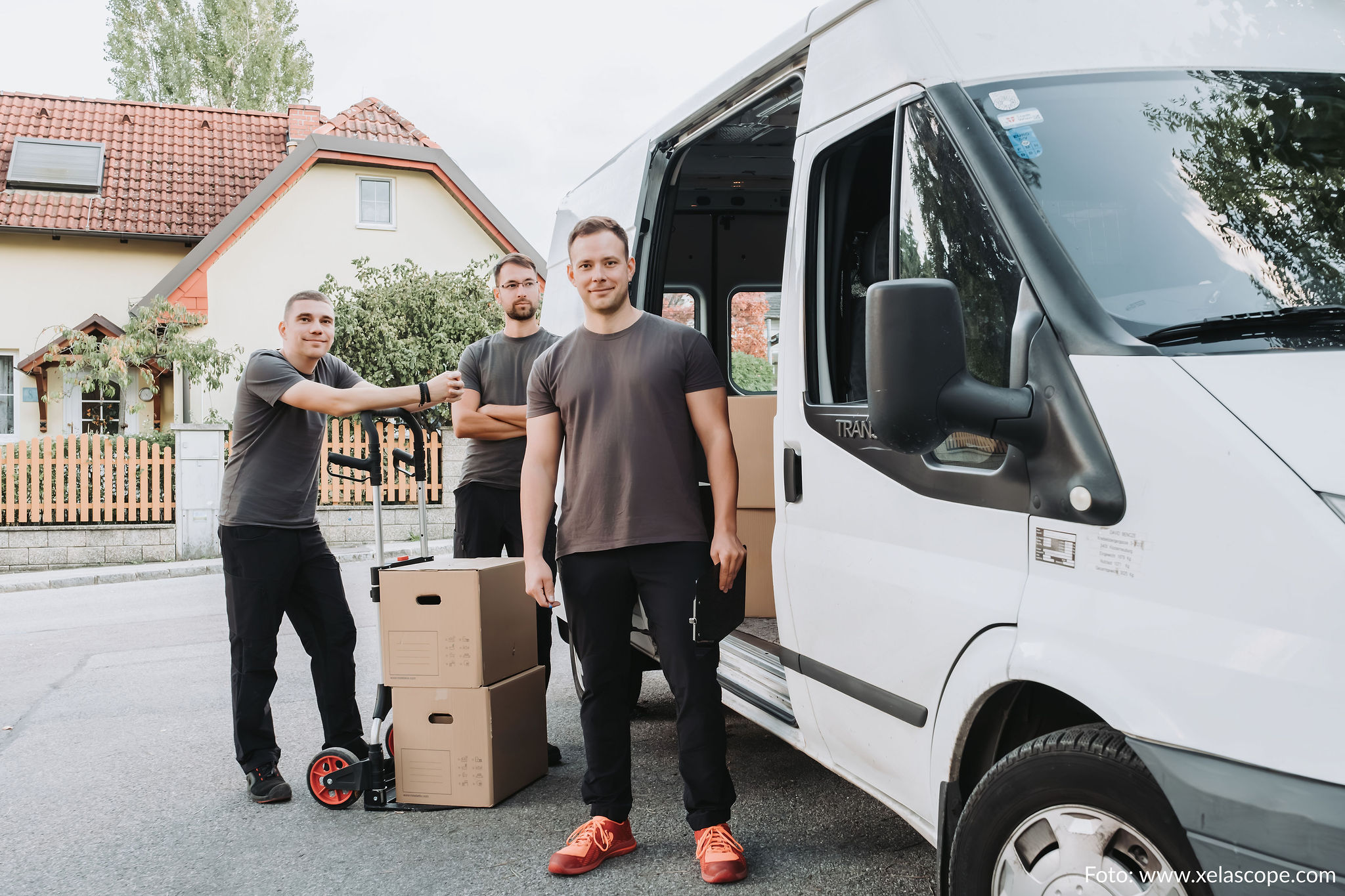 professionelle-umzugsdienstleistungen-transport